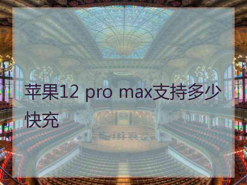 苹果12 pro max支持多少快充