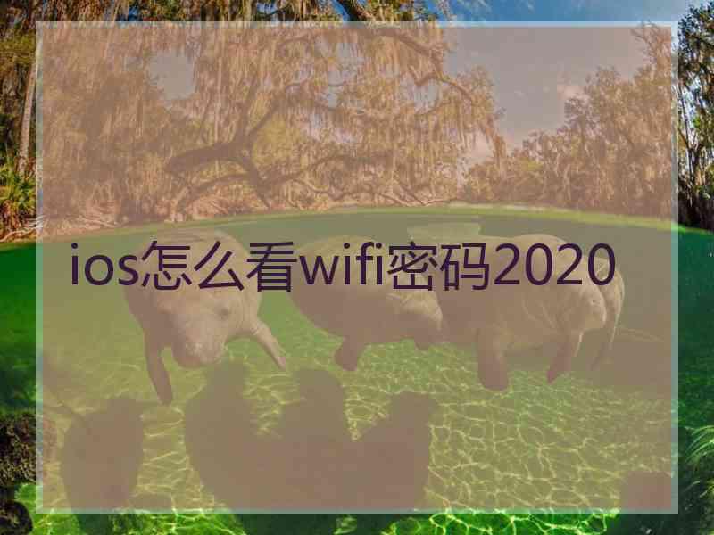 ios怎么看wifi密码2020