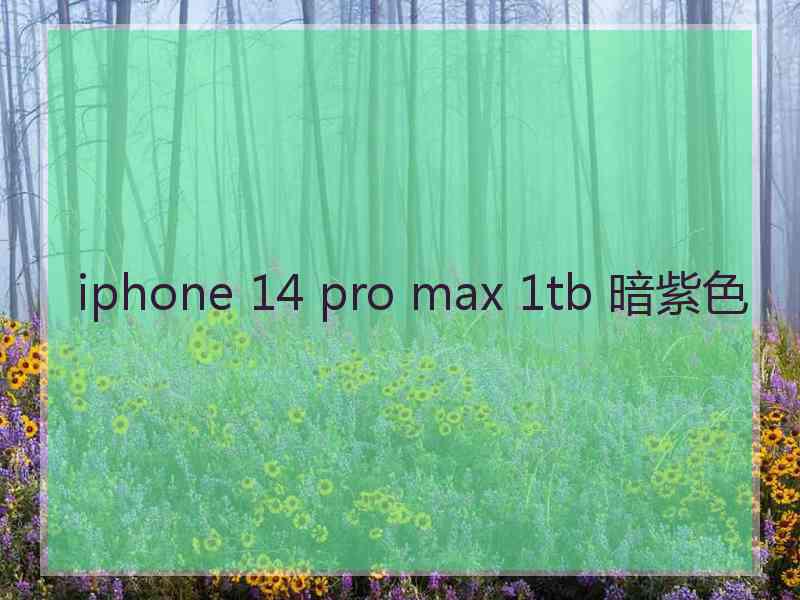 iphone 14 pro max 1tb 暗紫色