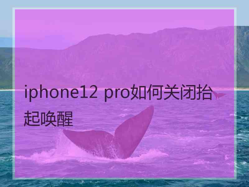 iphone12 pro如何关闭抬起唤醒