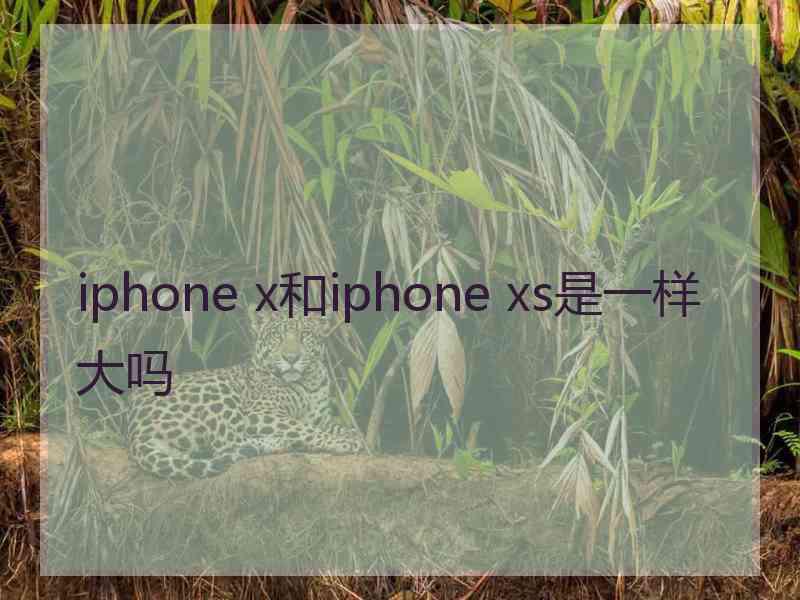 iphone x和iphone xs是一样大吗