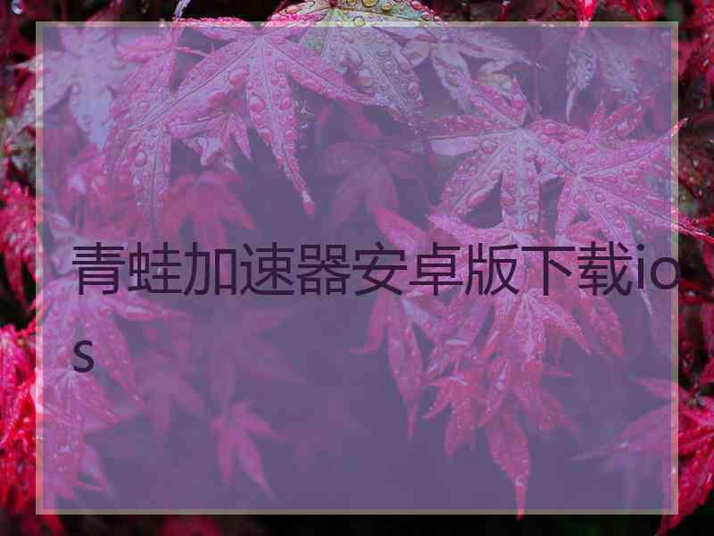 青蛙加速器安卓版下载ios