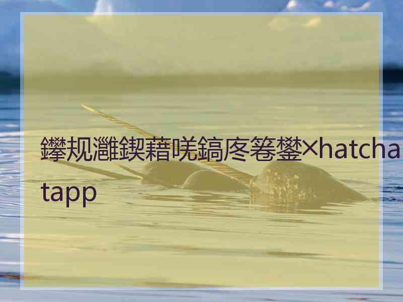 鑻规灉鍥藉唴鎬庝箞鐢╳hatchatapp