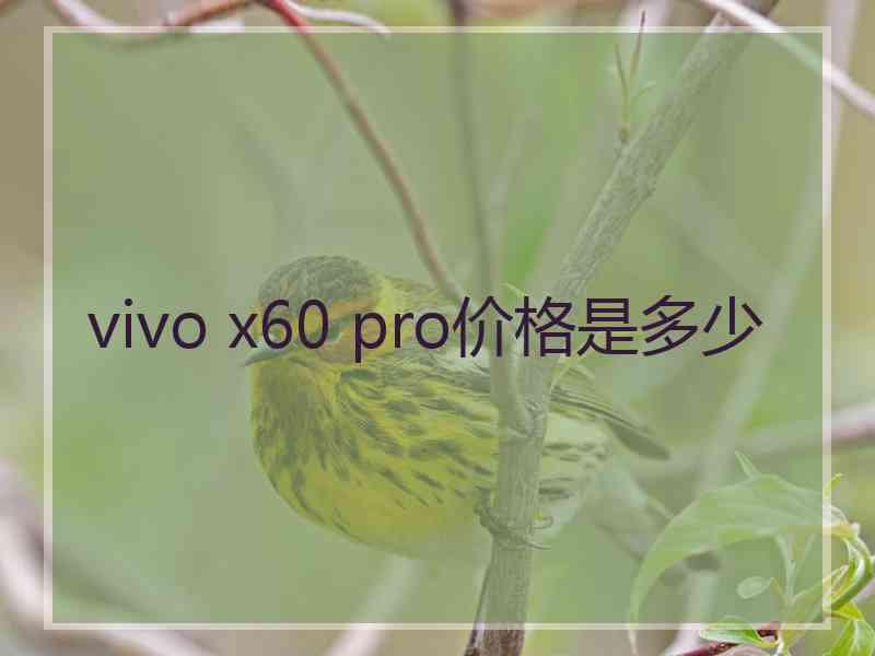 vivo x60 pro价格是多少