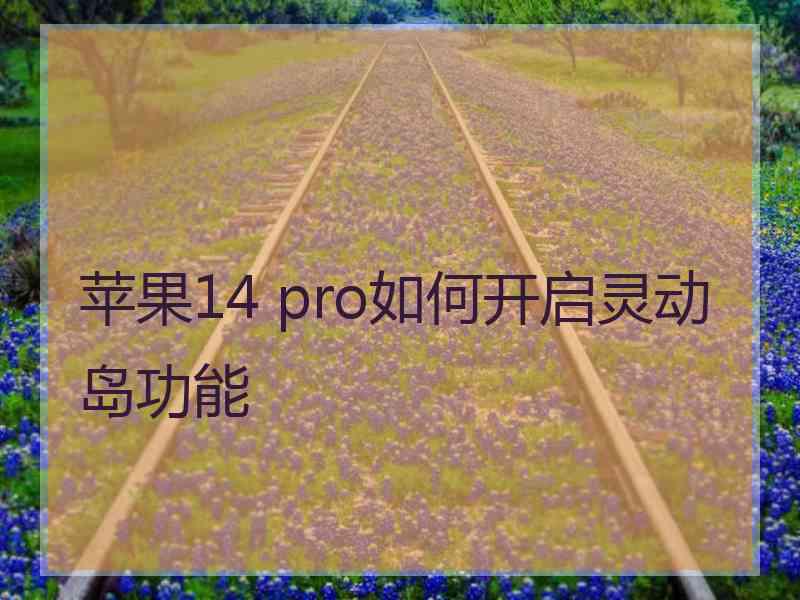 苹果14 pro如何开启灵动岛功能