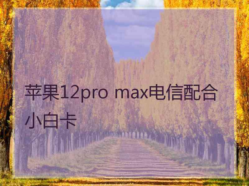 苹果12pro max电信配合小白卡