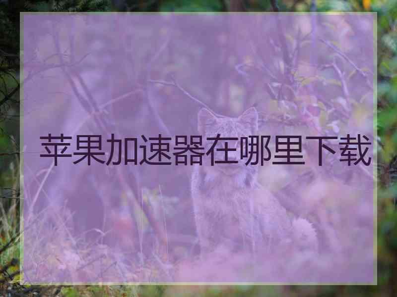 苹果加速器在哪里下载