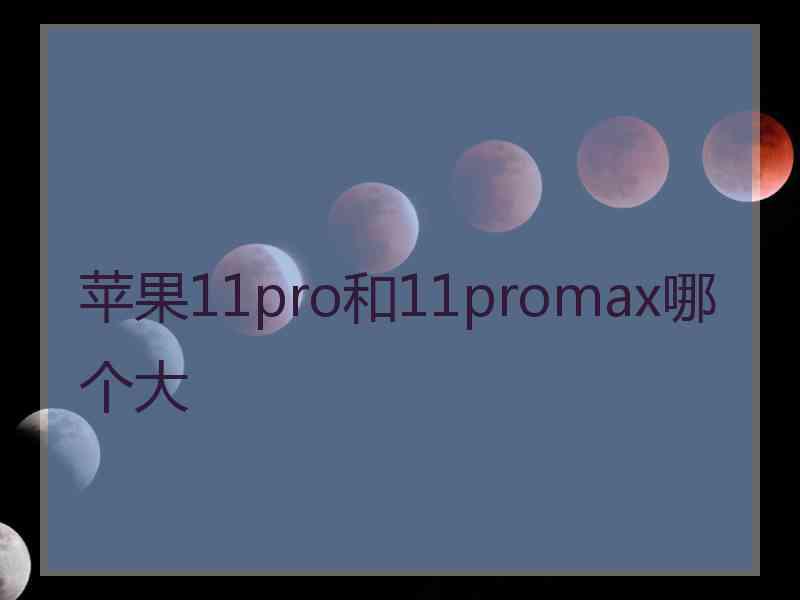 苹果11pro和11promax哪个大