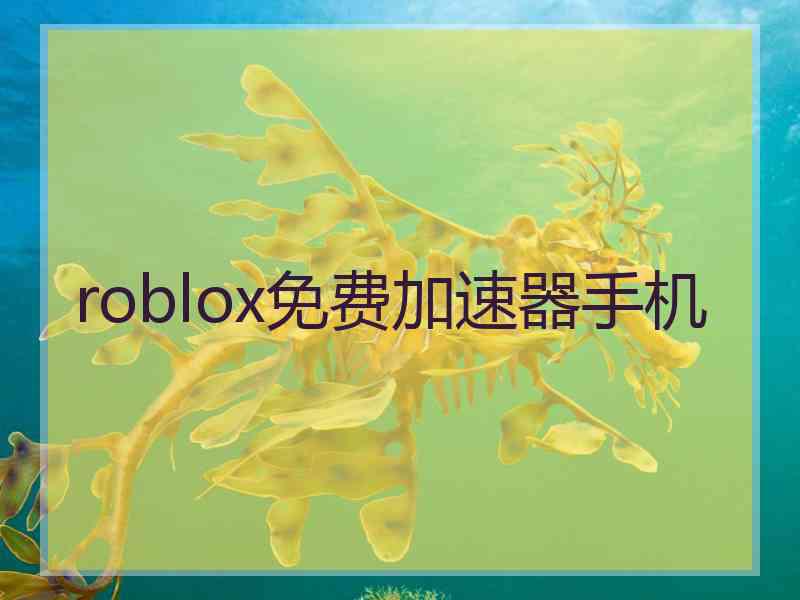 roblox免费加速器手机