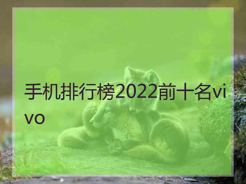 手机排行榜2022前十名vivo