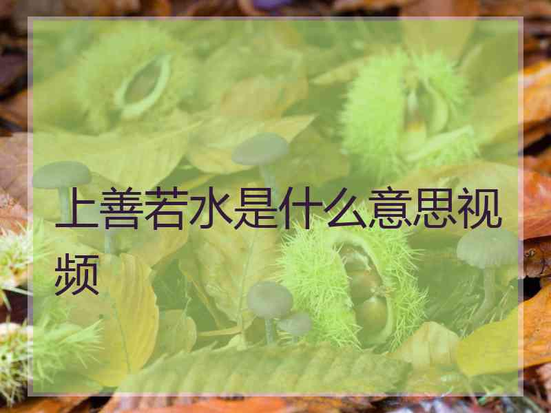 上善若水是什么意思视频