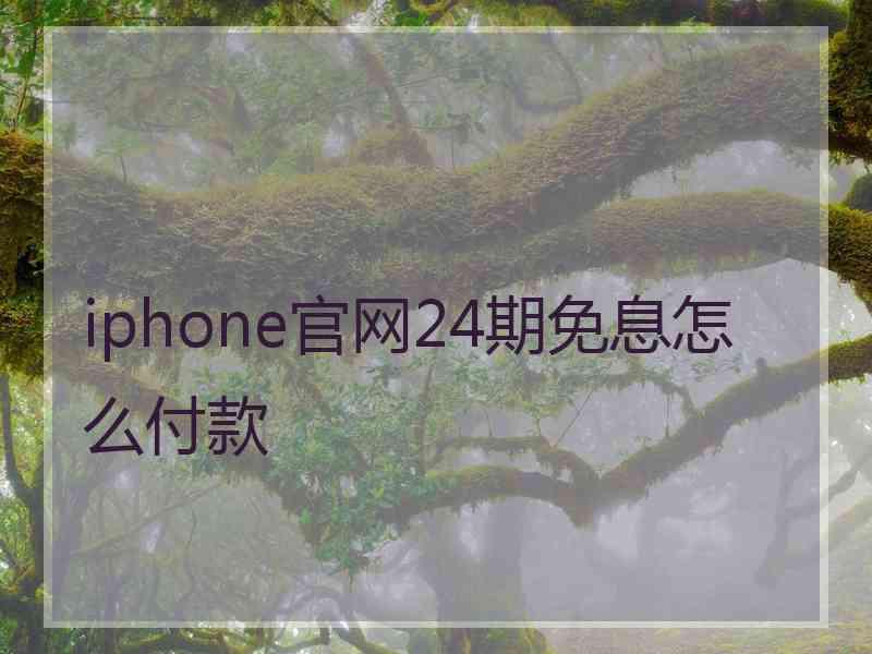 iphone官网24期免息怎么付款