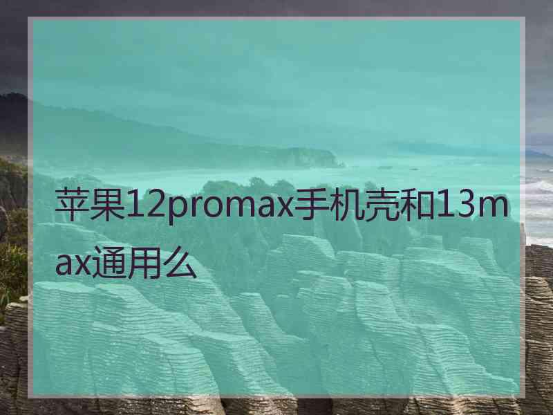 苹果12promax手机壳和13max通用么