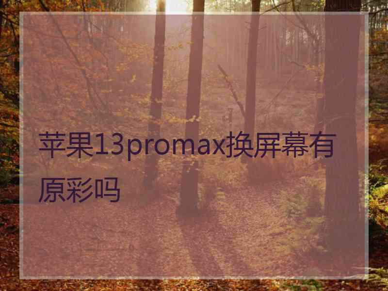 苹果13promax换屏幕有原彩吗