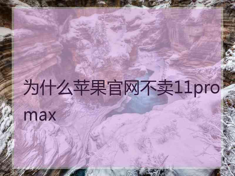 为什么苹果官网不卖11promax