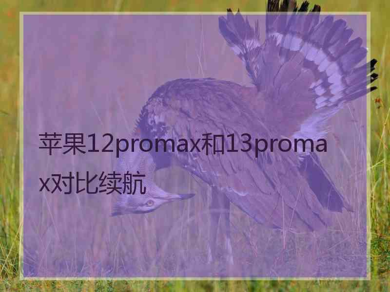 苹果12promax和13promax对比续航