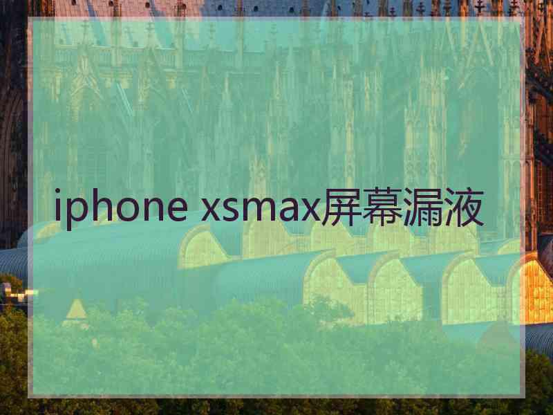 iphone xsmax屏幕漏液