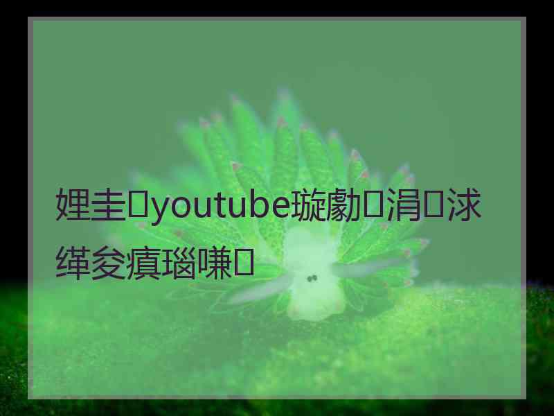 娌圭youtube璇勮涓浗缂夋瘨瑙嗛