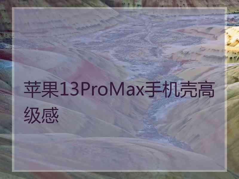 苹果13ProMax手机壳高级感