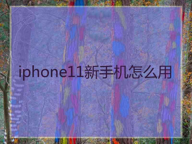 iphone11新手机怎么用