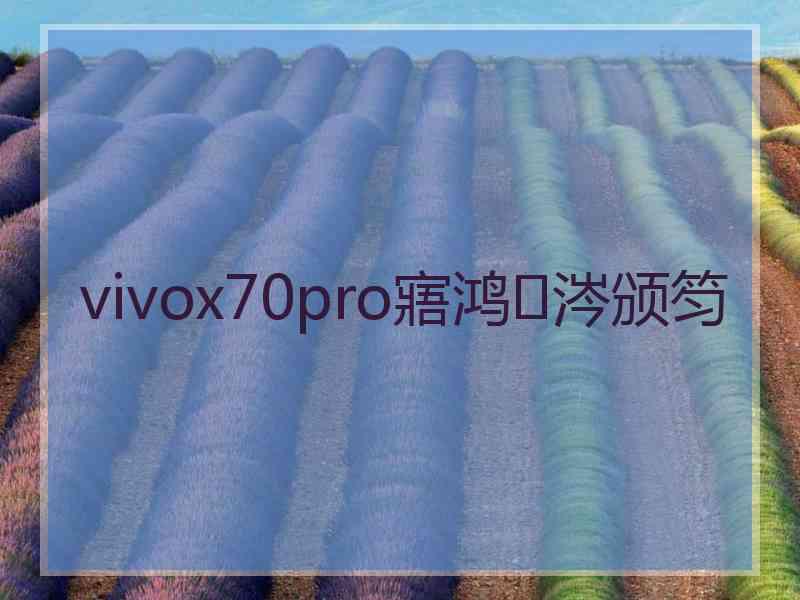 vivox70pro寤鸿涔颁笉