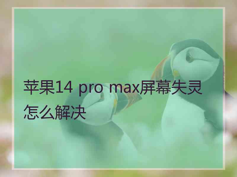 苹果14 pro max屏幕失灵怎么解决