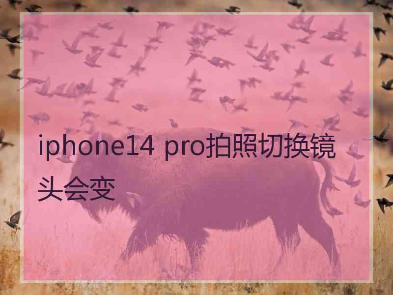 iphone14 pro拍照切换镜头会变