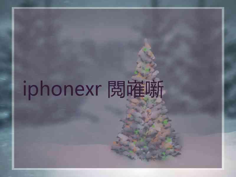 iphonexr 閲嶉噺