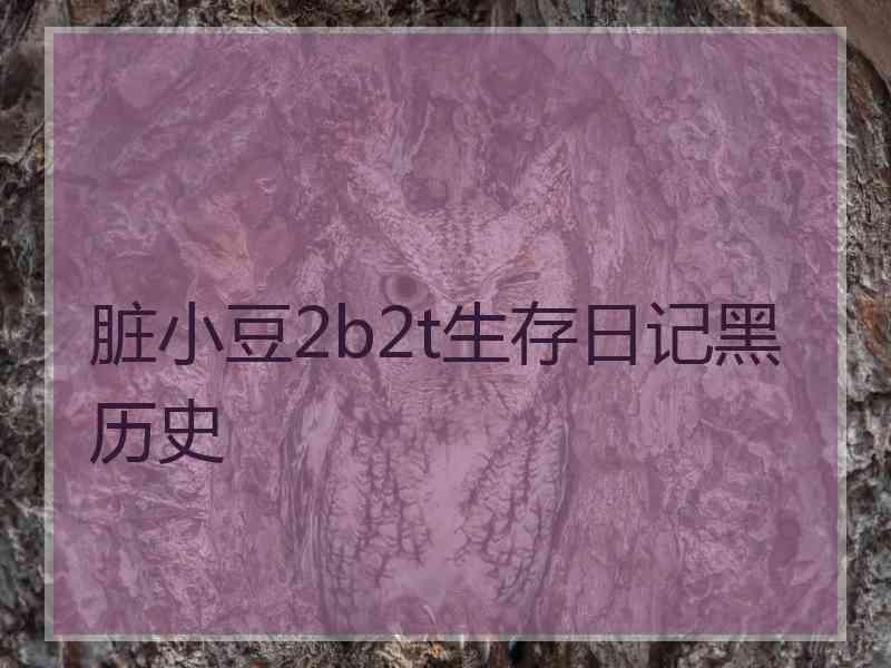 脏小豆2b2t生存日记黑历史