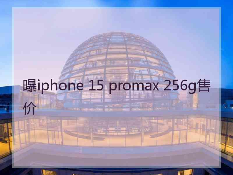 曝iphone 15 promax 256g售价