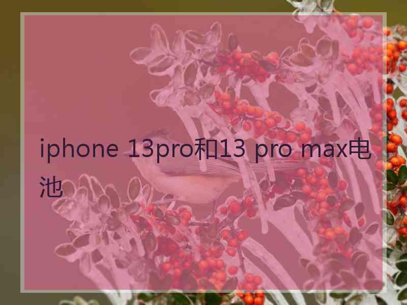 iphone 13pro和13 pro max电池