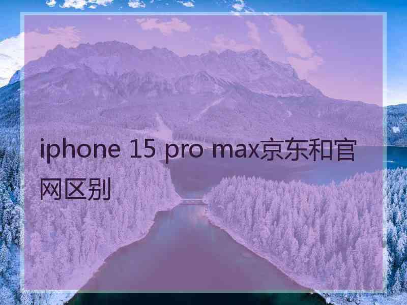 iphone 15 pro max京东和官网区别