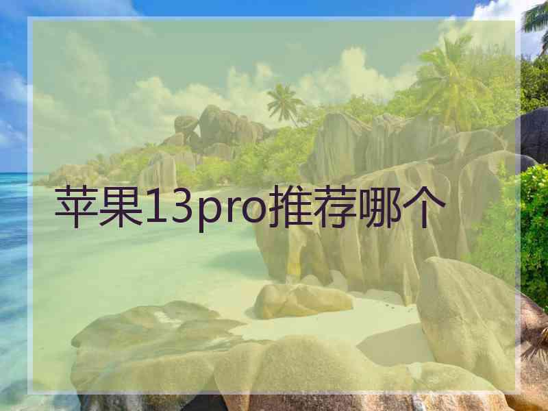 苹果13pro推荐哪个