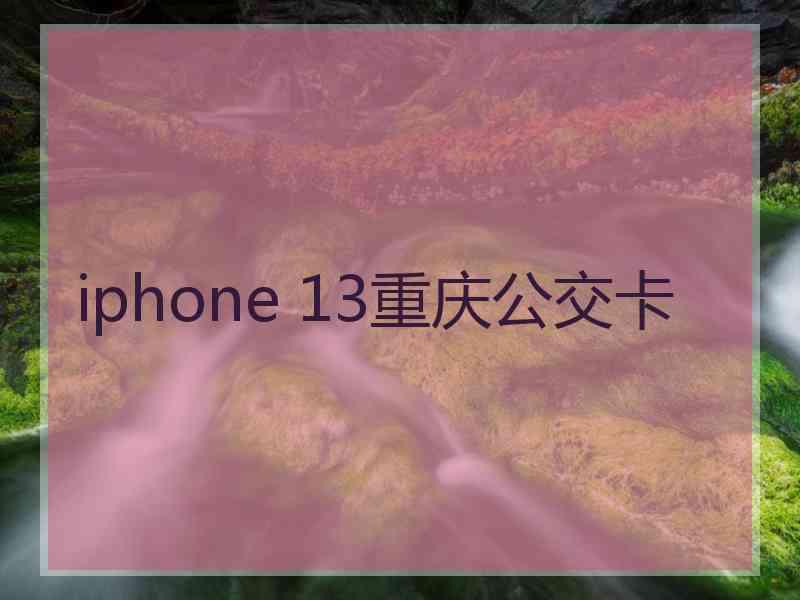 iphone 13重庆公交卡