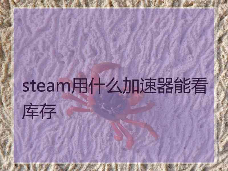 steam用什么加速器能看库存