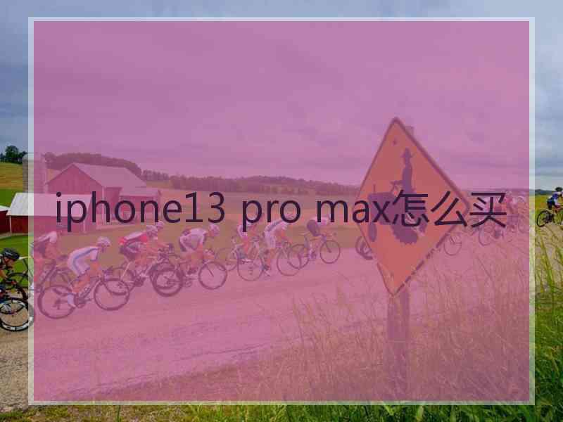 iphone13 pro max怎么买