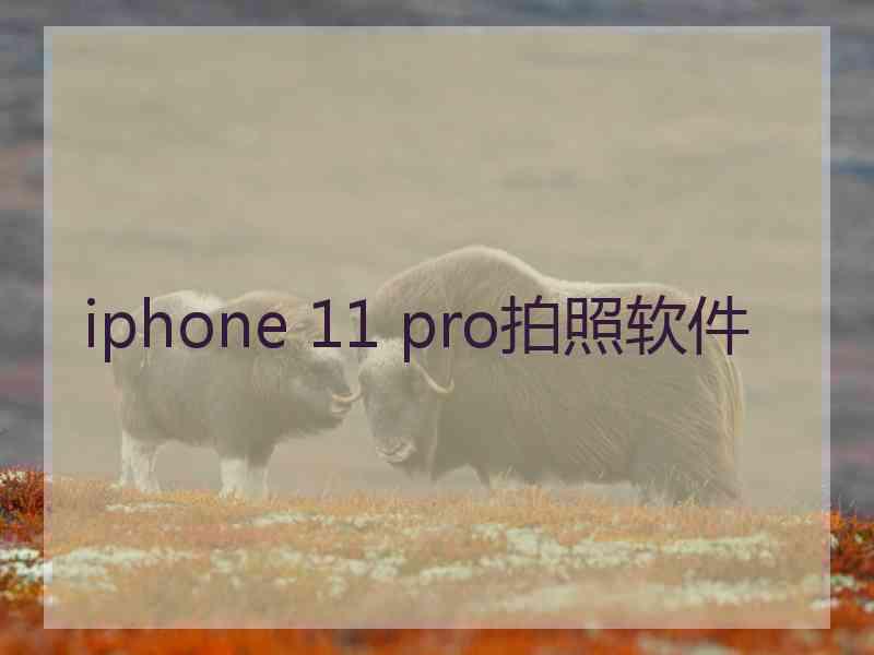 iphone 11 pro拍照软件