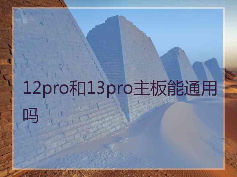 12pro和13pro主板能通用吗