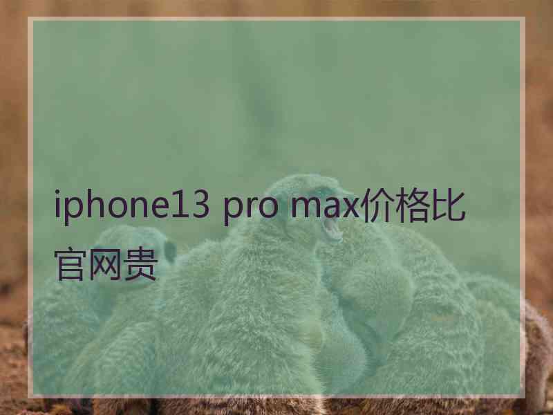 iphone13 pro max价格比官网贵