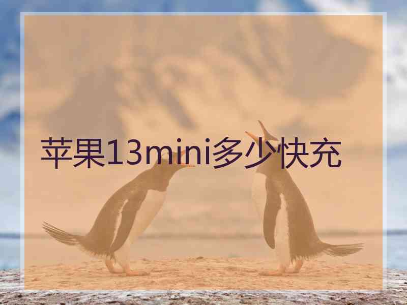 苹果13mini多少快充