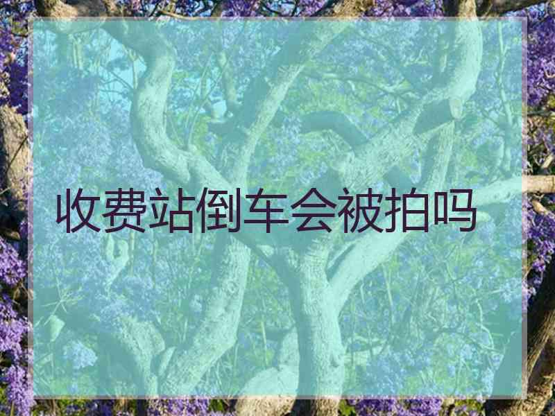 收费站倒车会被拍吗