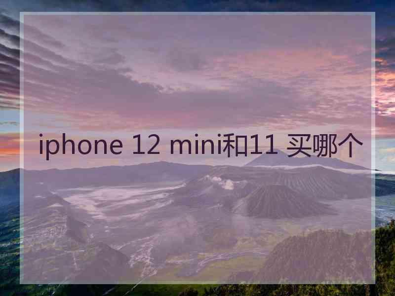 iphone 12 mini和11 买哪个