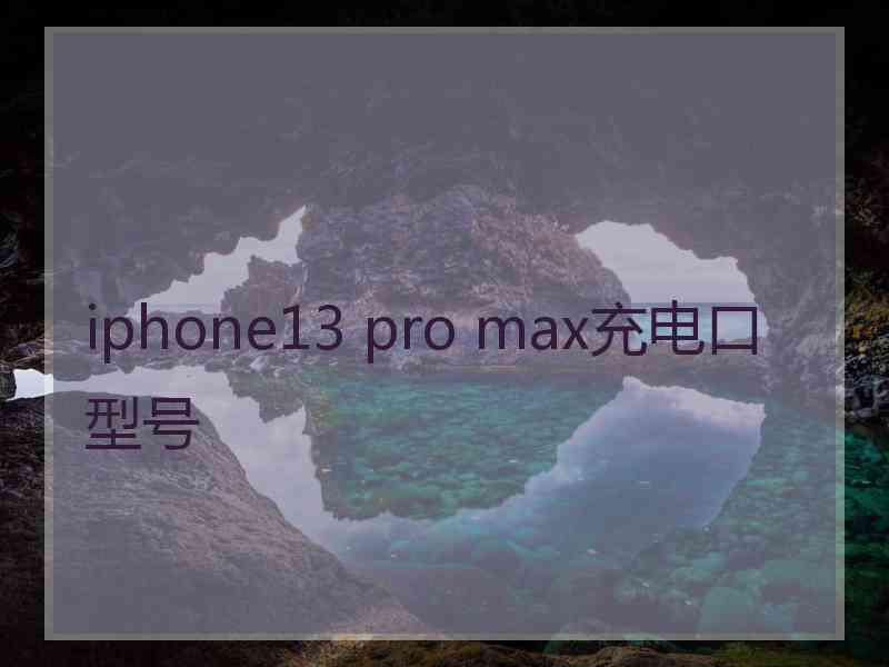 iphone13 pro max充电口型号