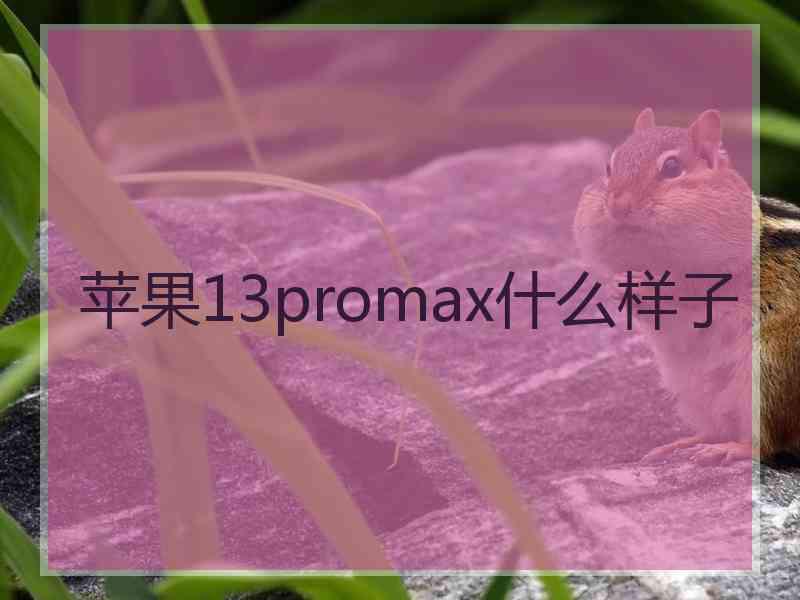 苹果13promax什么样子