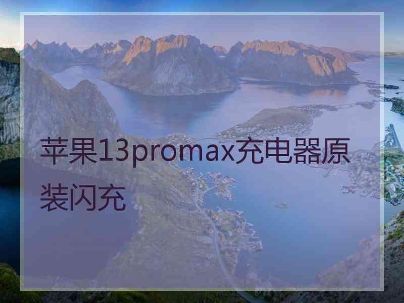 苹果13promax充电器原装闪充