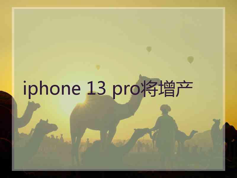 iphone 13 pro将增产