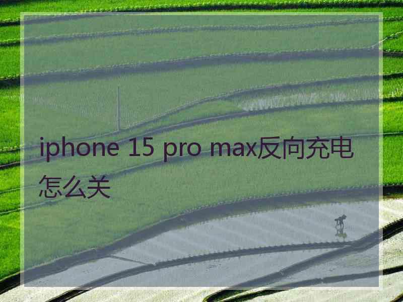 iphone 15 pro max反向充电怎么关