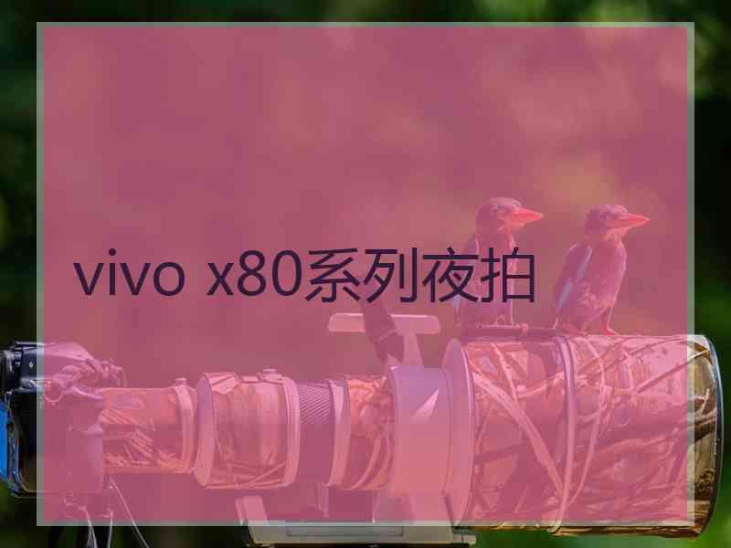 vivo x80系列夜拍