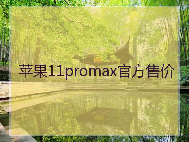 苹果11promax官方售价