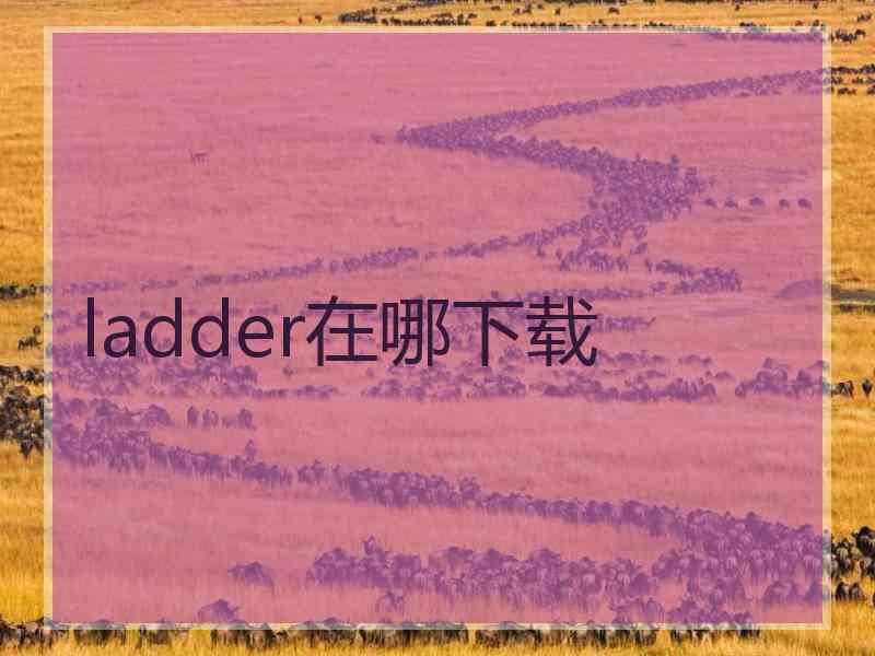 ladder在哪下载